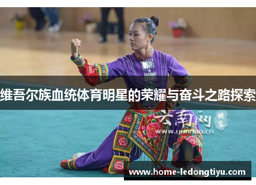 维吾尔族血统体育明星的荣耀与奋斗之路探索
